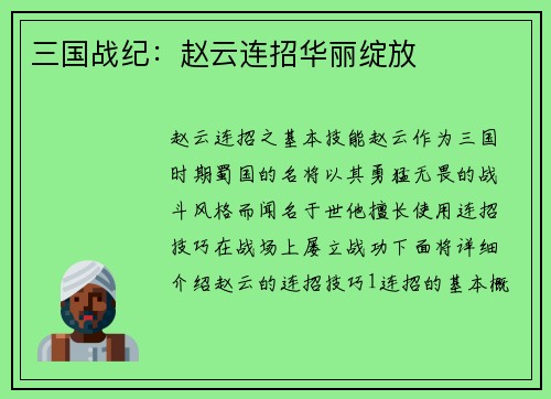 三国战纪：赵云连招华丽绽放