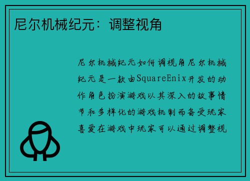 尼尔机械纪元：调整视角